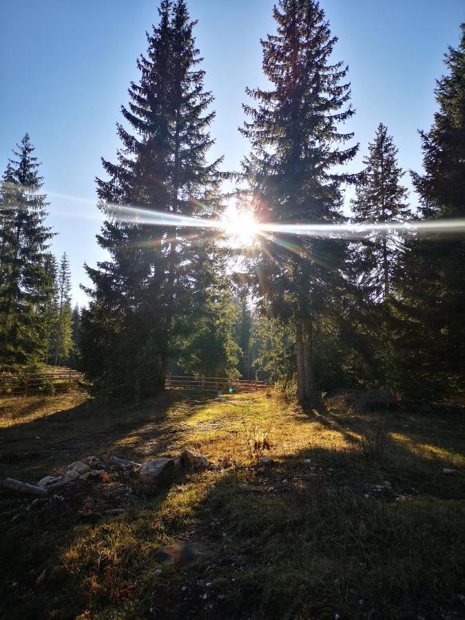 Villa Snowhite Jahorina Exterior foto