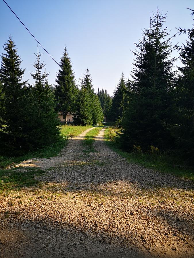 Villa Snowhite Jahorina Exterior foto